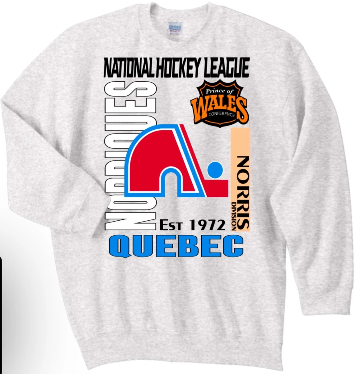 Sweat-shirt Vintage Québec Nordiques Gris Taille XL - Hockey LNH 1994 - Marque Tultex