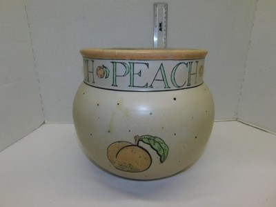 Ecco Nova Large Peach Planter 9''