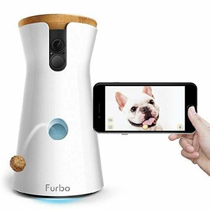 dog treat camera