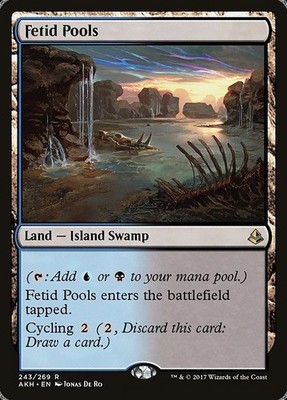 Fetid Pools NonFoil Amonkhet 243 NM MTG