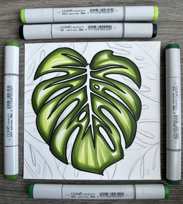 Monstera Deliciosa 6x6 Drawing - Plant Art - Copic Marker ORIGINAL PRINT