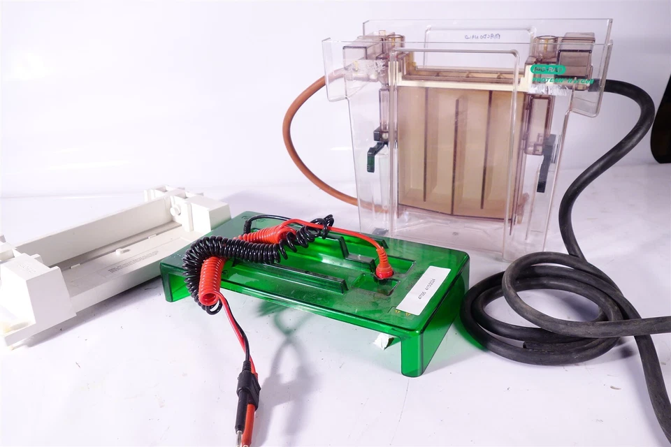 BIO-RAD PROTEAN II xi TRANS-BLOT CELL + Acessórios - Imagem 4 de 4