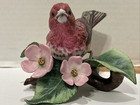 Foto 6 di 24