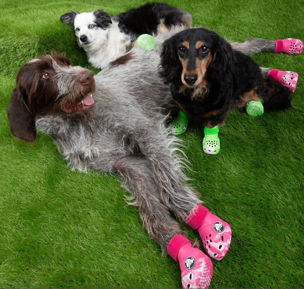 🟢 Crocs Pet Dog Boots - Green Slime/Dragon Fruit - Size S-L NEW
