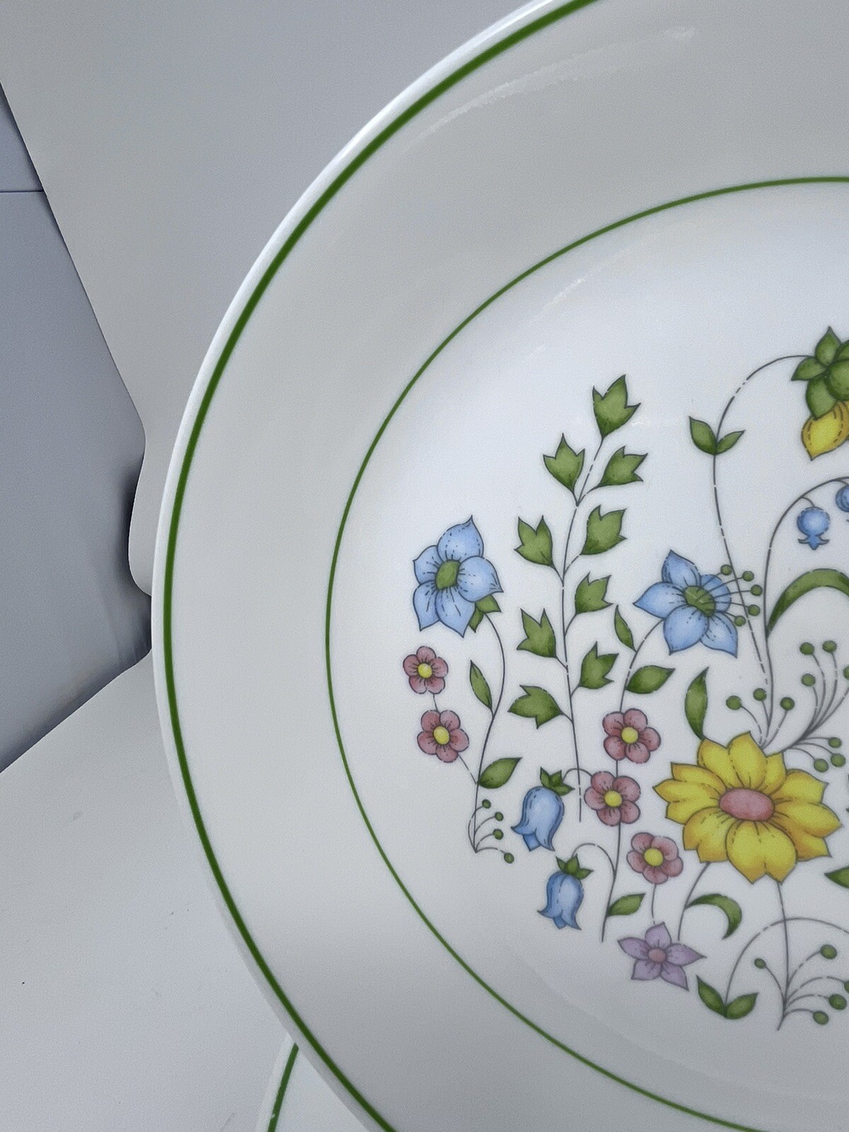 Corelle Meadow Dinner Plate 10-1/4" Green Trim Vitrelle