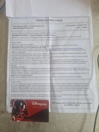 3 billets  Adultes DISNEYLAND® PARIS 1 jour /2 parcs. 31 MARS 2025 hors weekend