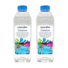 64 oz Freshwater Copepods   Live Pods for Fry  Shrimp   Seed  Clean Your Tank