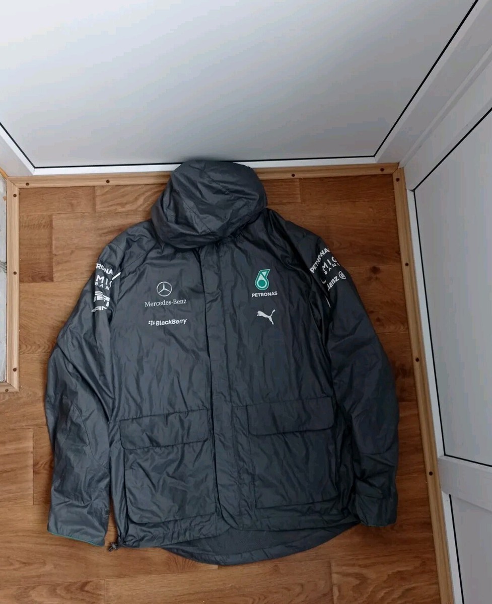 Mercedes AMG Petronas Racing F1 Formula One Puma mens Gray