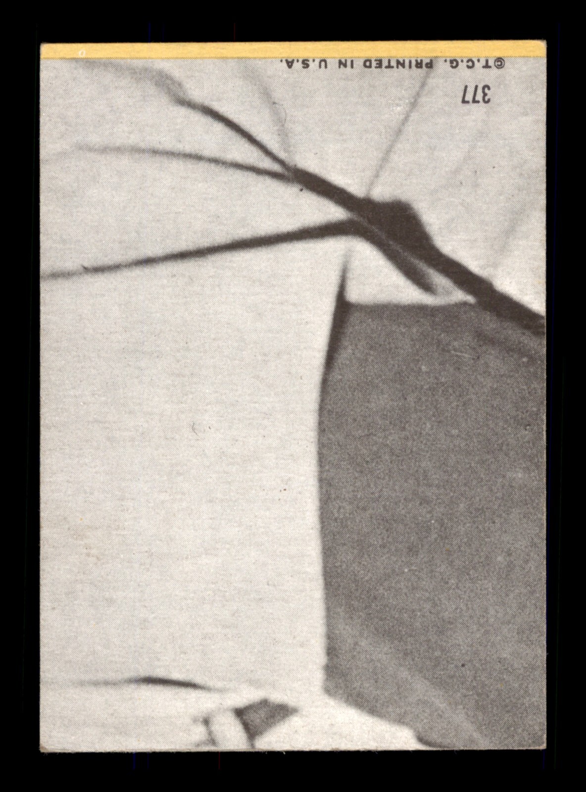 Picture 56 of 196