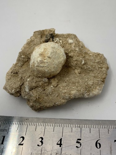 Authentic Brimstone Sulfur Balls Sodom & Gomorrah Biblical Holy Christianity - Picture 61 of 62