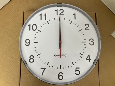 Sapling Clock (SAL-4BS-12R-14) Input voltage 24VAC/110VAC 50/60Hz 35/25/A