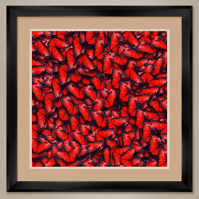 35W''x35H'': RED BUTTERFLIES by STUDIO ANTO - DOUBLE MATTE, GLASS and FRAME