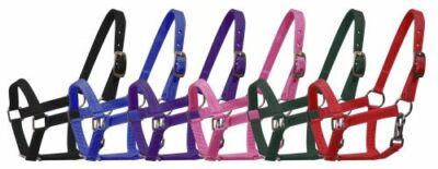 New Adjustable Nylon Halter with Throat Latch Clip MINI Horse or PONY Size 5946