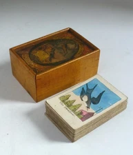 Rare Antique Georgian Infants Cabinet of Birds, John Marshall, London c.1800