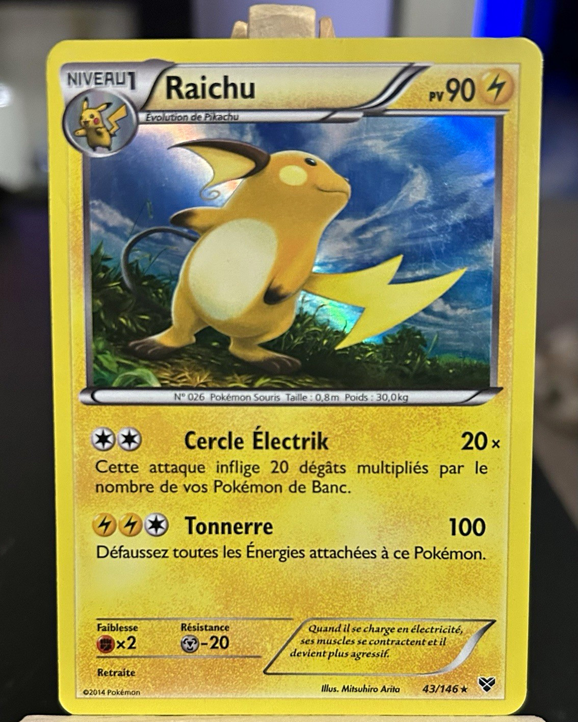 Raichu 43/146 XY Base Set Holo Rare French/Francais Pokemon TCG NM