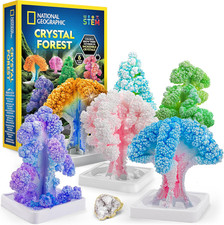 National Geographic Craft Kits for Kids - Crystal Growing Kit, Grow 6 Crystal Tr