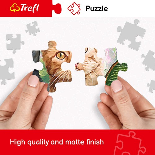 Trefl Red Panorama 1000 Piece Puzzle - Passo di Giau, Dolomites - Picture 5 of 10