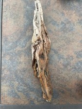 Natural Driftwood for Plants Terrarium Taxidermy Art Projects