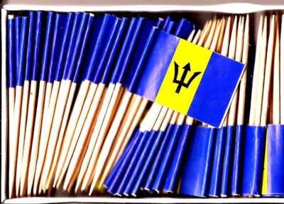 One Box of 100 Barbados Toothpick Flags, 100 Small Mini Cupcake Flags