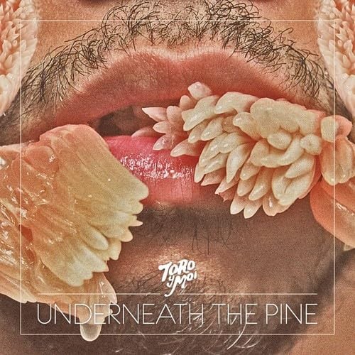 Toro Y Moi Underneath the Pine CD CAK059CD NEW