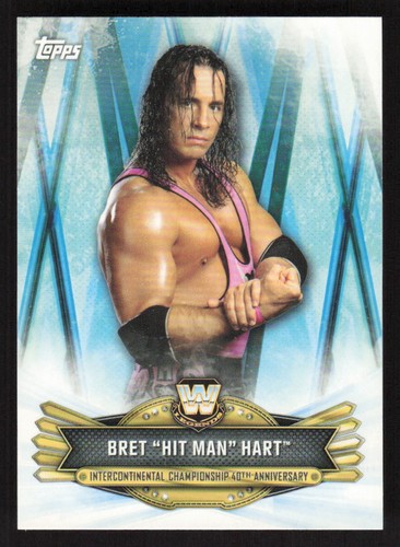 Bret 'Hit Man' Hart def. Mr. Perfect to Win the Intercontinental Championship #MSS-22 — 2019 Topps WWE SummerSlam All Stars wrestling card