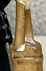 Foto 9 di 10
