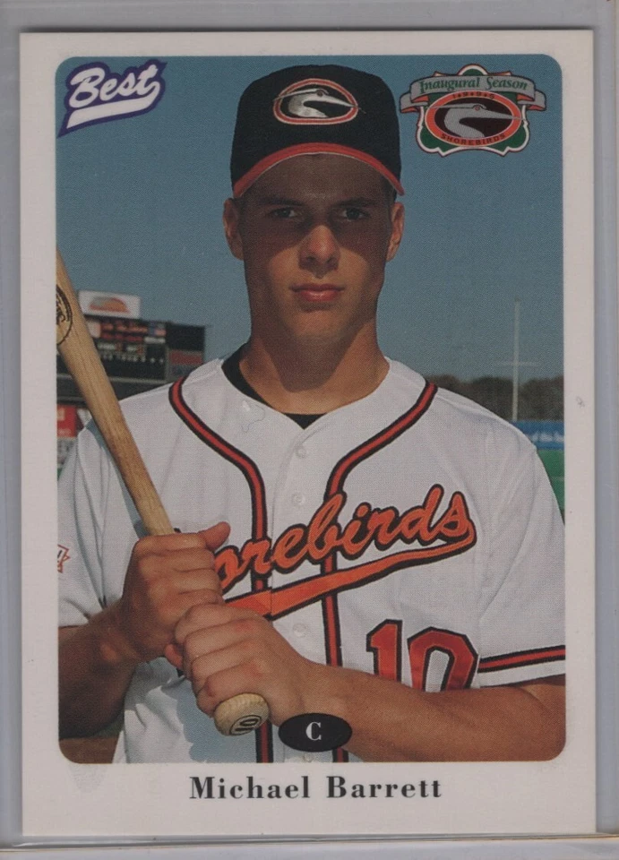 Best Delmarva Shorebirds 1996 [Barrett] [Cabrera] Foto 2 de 3