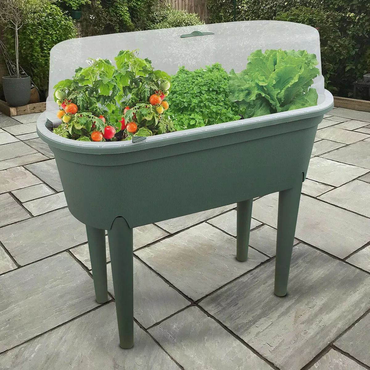 Table for growing on sale plants