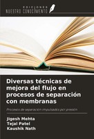 Jigesh Mehta (U. A.) | Diversas TéCnicas De Mejora Del Flujo En Procesos De...
