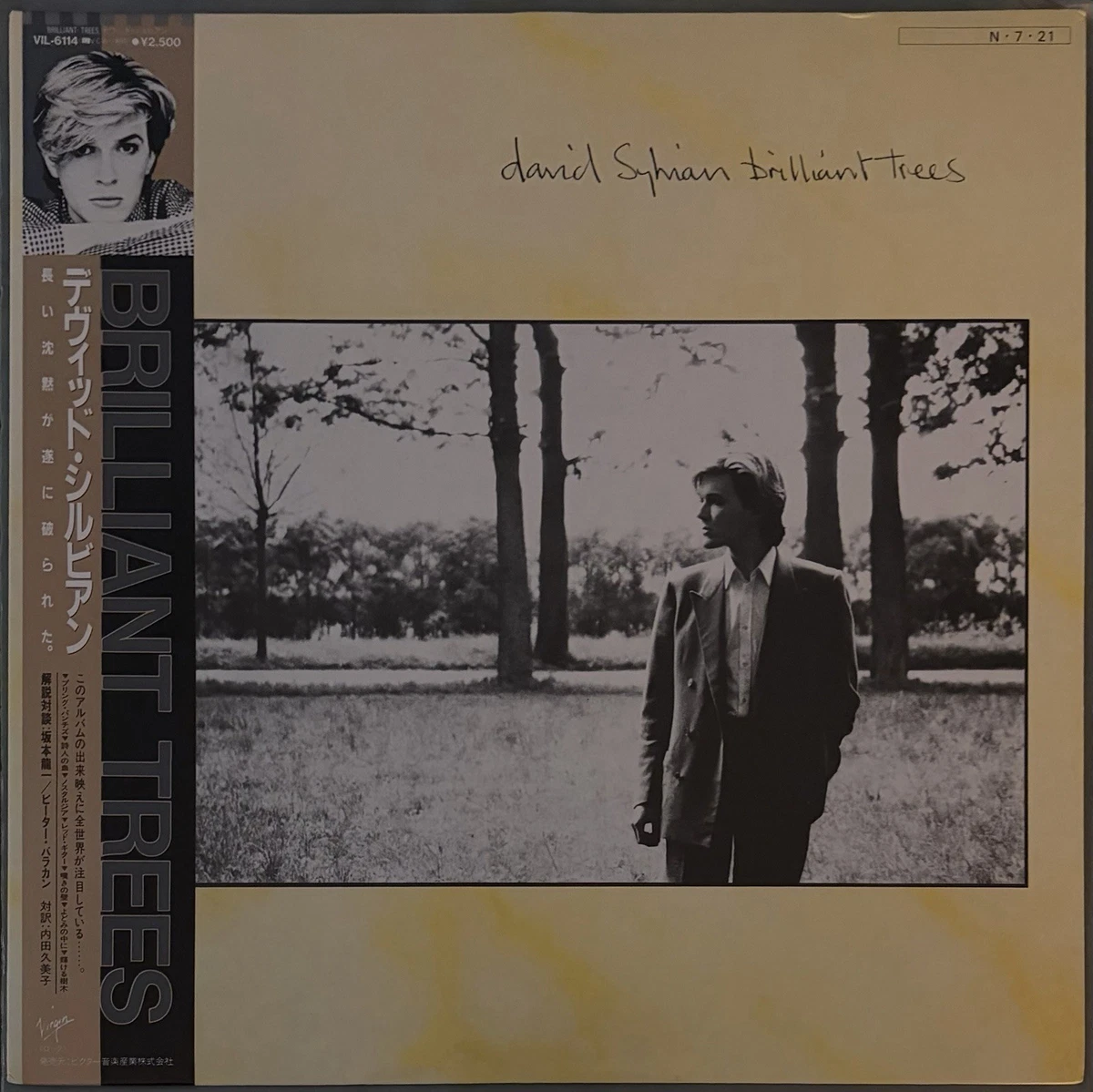 David Sylvian David Sylvian LP レコード David Sylvian Vinyl Records for sale | eBay