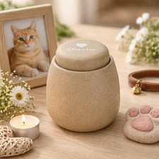 Personalized Ceramic Pet Urn for Ashes Custom Dog Cat Memorial
