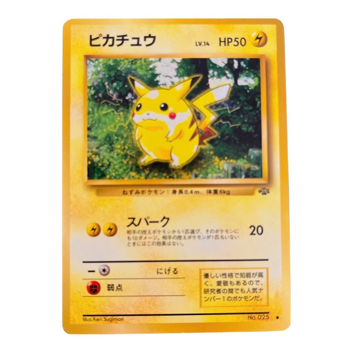 Pokemon Card Japanese Pikachu No.025 Jungle Set Old Back