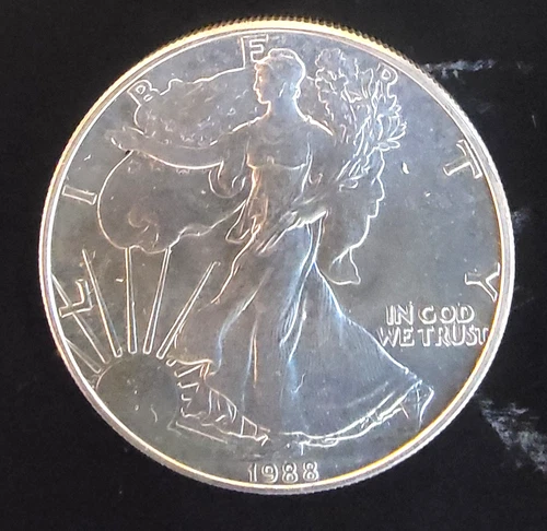 1988 American Eagle Toned Walking Liberty Bullion Vtg-0.999 Silver 1 Oz Coin 1y