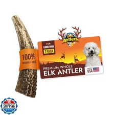 Tibetan Elk Antler for Large Dogs, Grade-A, Premium Chews, Naturally shed Hea