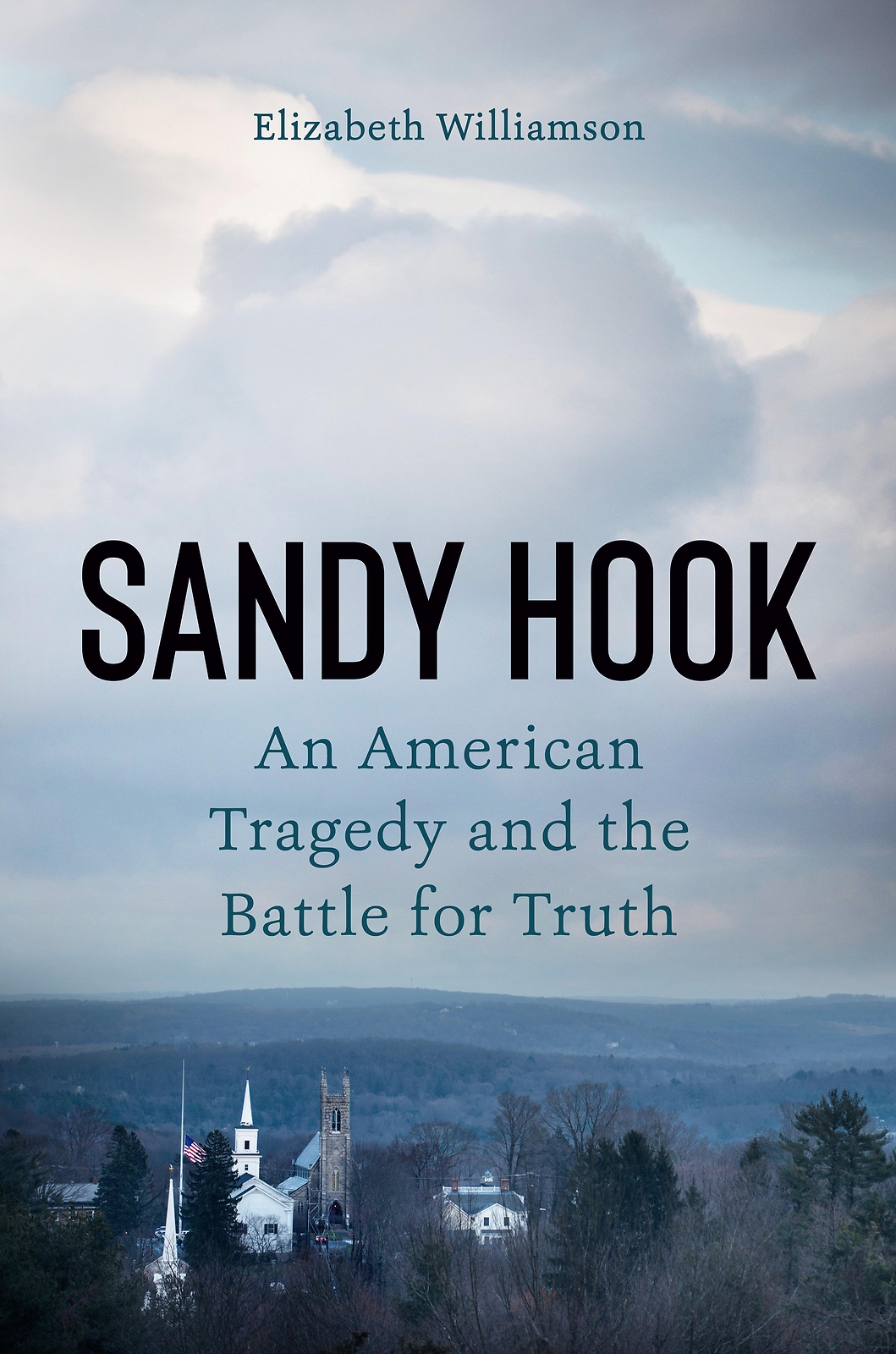 Thumbnail - Sandy Hook Elizabeth Williamson