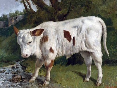 WHITE VEAL by G. Courbet Farm Accent Tile Mural Kitchen Backsplash Ceramic 10x8