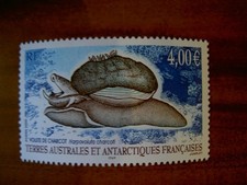 TAAF Yvert Num 411 Mollusque Gasteropode ANNEE 2005