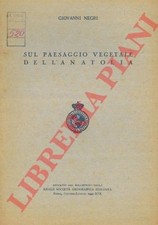 NEGRI Giovanni - Sul paesaggio vegetale dell'Anatolia.
