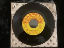 Roger Hallmark: A Message to Khomeini / Maharishi, 45 RPM  EX