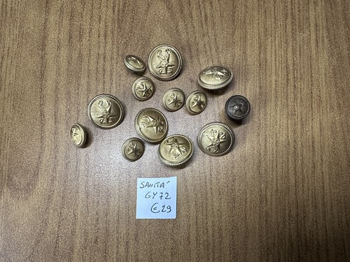 Lot 13 Boutons De Uniforme Militaire Désinfecteur GY72 - 第 1/3 張圖片