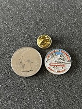 Columbia Icefields Jasper Alberta Souvenir Pin Pinback #43592