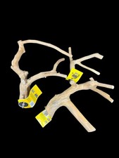 A E Cage Co. Java Wood Multi Branch Perch Lot if 3 New W/ Tags Small  Medium