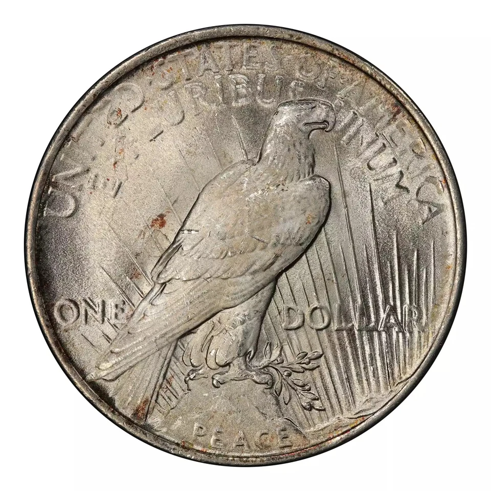 1923 Peace Dollar PCGS MS-66 CAC - Image 2 of 4