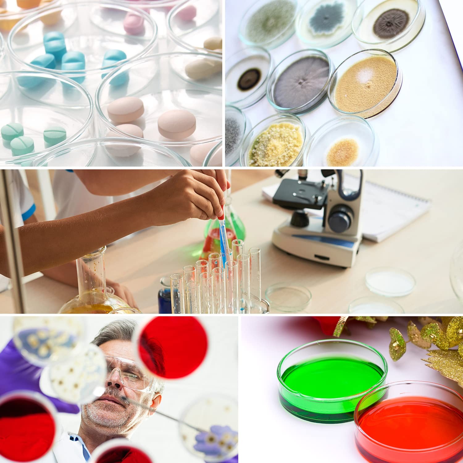 60mm Glass Petri Dish Lab Petri Plates Dishes Reusable w/ Lids Autoclavable US