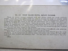 NATIVE AMERICAN ORIGINAL STEREO VIEW CARDS 1890S ANTIQUE COLOR INDIAN SW ORIGINA — photo 7