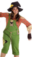 Women's Scarecrow Fairytale Friendly Costume EDIT SIZE XL with defect 
