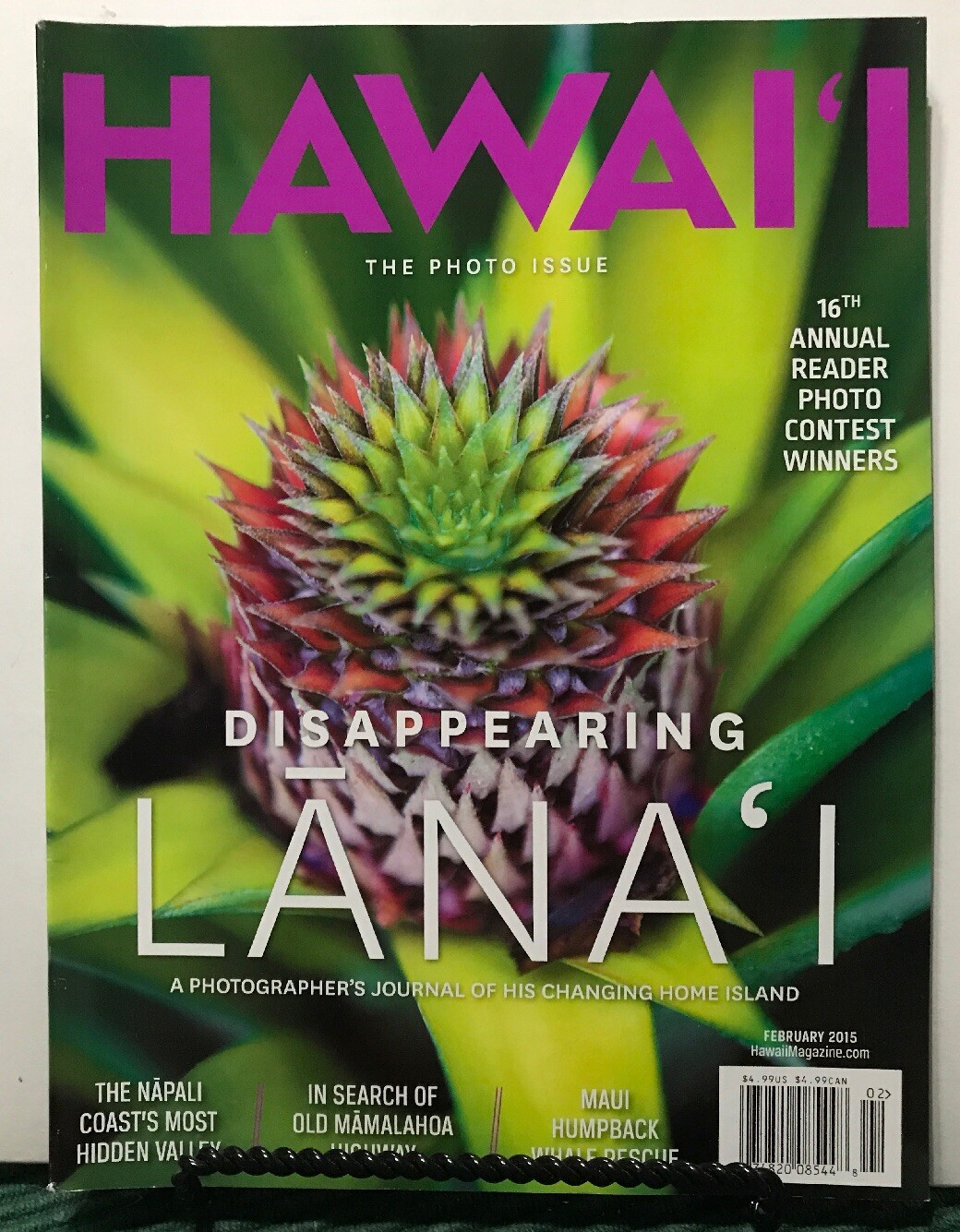 Hawaii Disappearing Lanai Photo Contest Winners February 2015 FREE