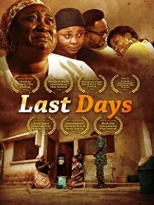 Last Days (DVD) Vivian Metchie/Bimbo Ademoye/Susan Peters BRAND NEW