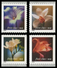 US #3458 3461 3458-61 (34¢) Orchids Scarce Perf Var. 11.5 x 11.75 NH MNH set