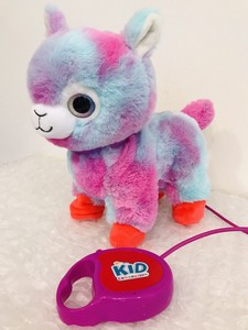 kid connection walking dog